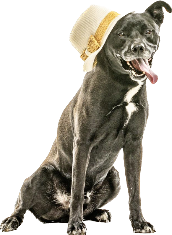 Juice Box Yoga Reno, Sparks, Northern Nevada Hot Yoga Fitness