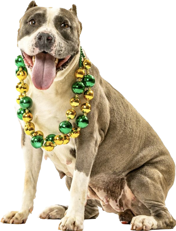 Juice Box Yoga Reno, Sparks, Northern Nevada Hot Yoga Fitness