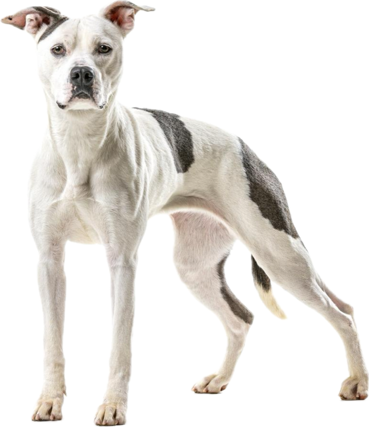 Juice Box Yoga Reno, Sparks, Northern Nevada Hot Yoga Fitness