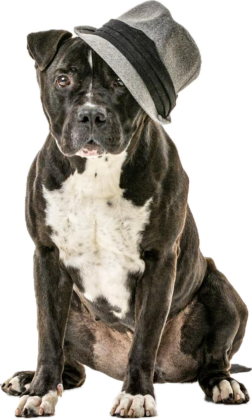 Juice Box Yoga Reno, Sparks, Northern Nevada Hot Yoga Fitness