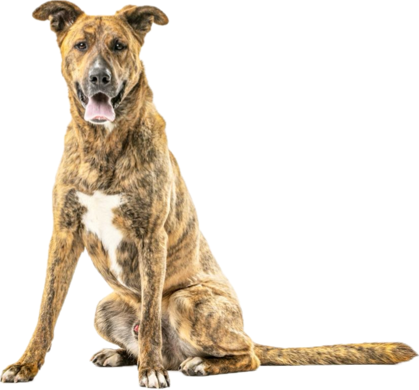 Juice Box Yoga Reno, Sparks, Northern Nevada Hot Yoga Fitness