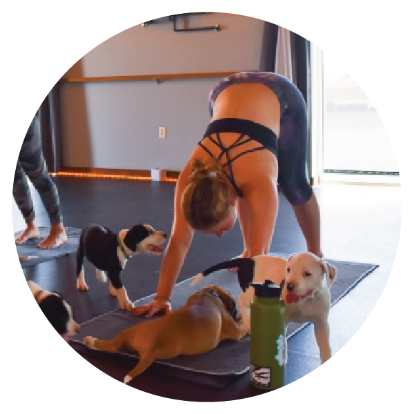 Juice Box Yoga Reno, Sparks, Northern Nevada Hot Yoga Fitness